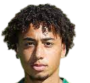 https://img.lybojiaguanye.com/img/football/player/347a6d58ae7ec0425a4d42bc9215c411.png