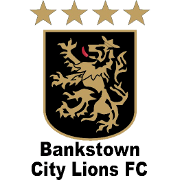 https://img.lybojiaguanye.com/img/football/team/3611895b1d993768346b422472166483.png